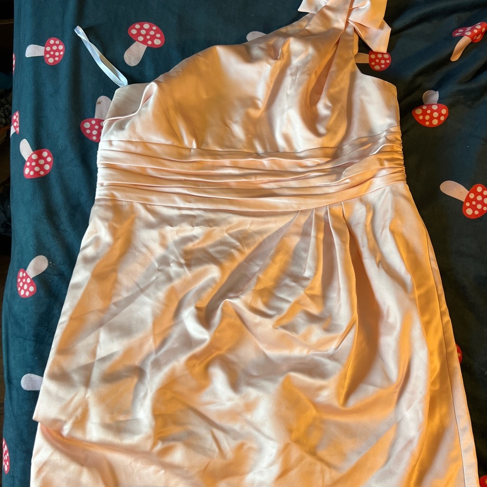 David's Bridal Soft Pink Gown